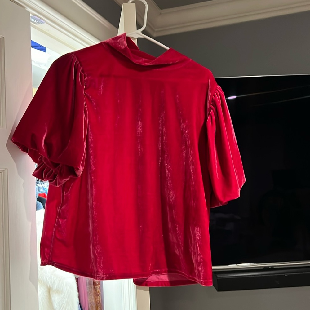 Free people velvet like top